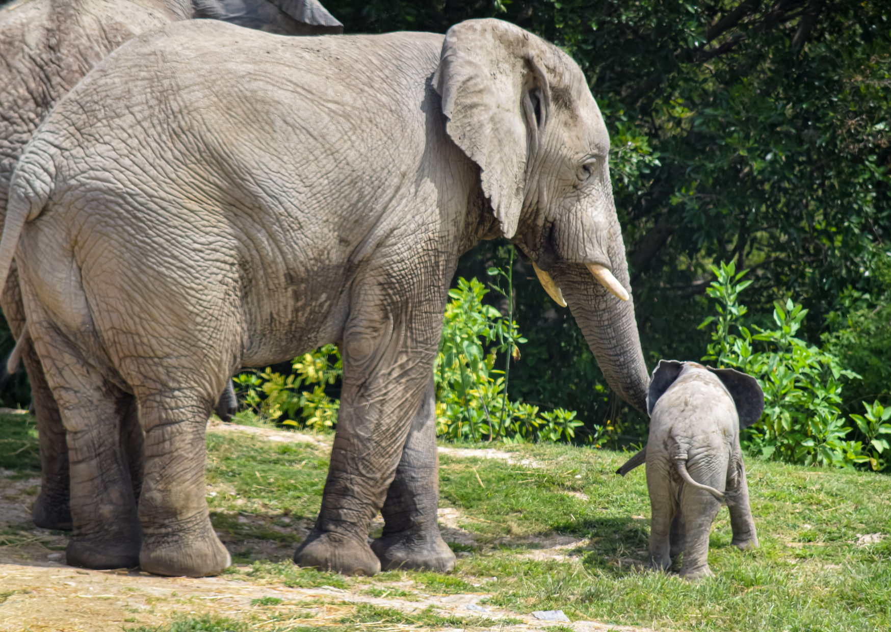 natürlicher Kinderwunsch
